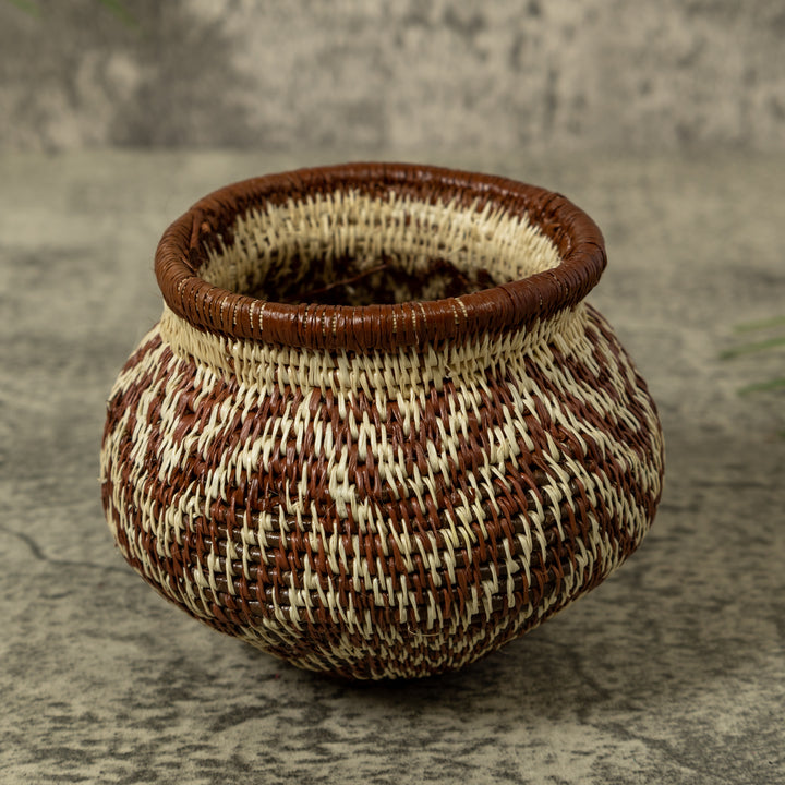 Rippling Star Rainforest Basket