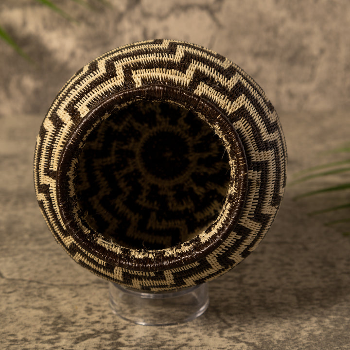Snake Charm Rainforest Basket
