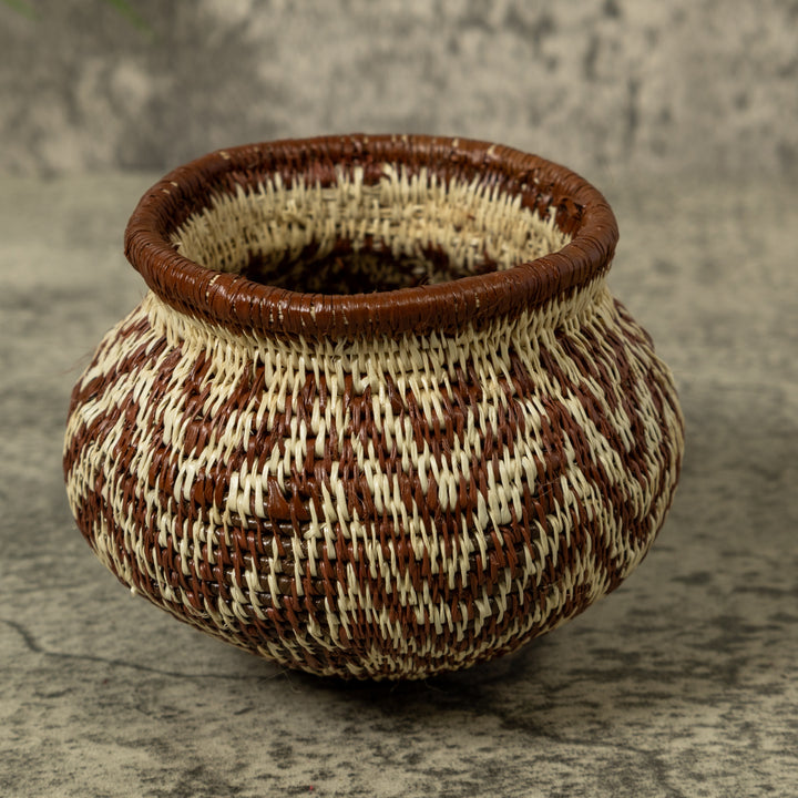 Rippling Star Rainforest Basket