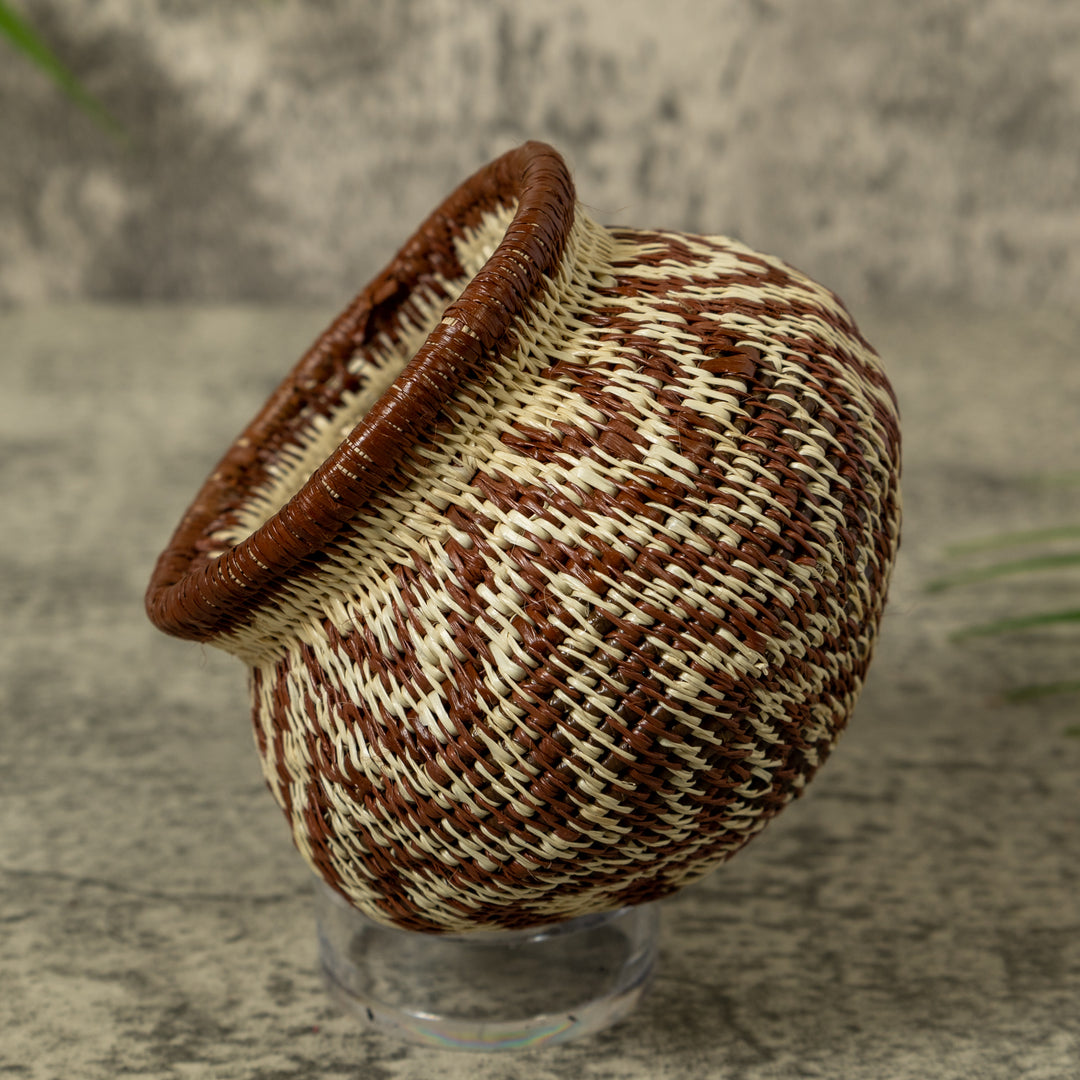 Rippling Star Rainforest Basket