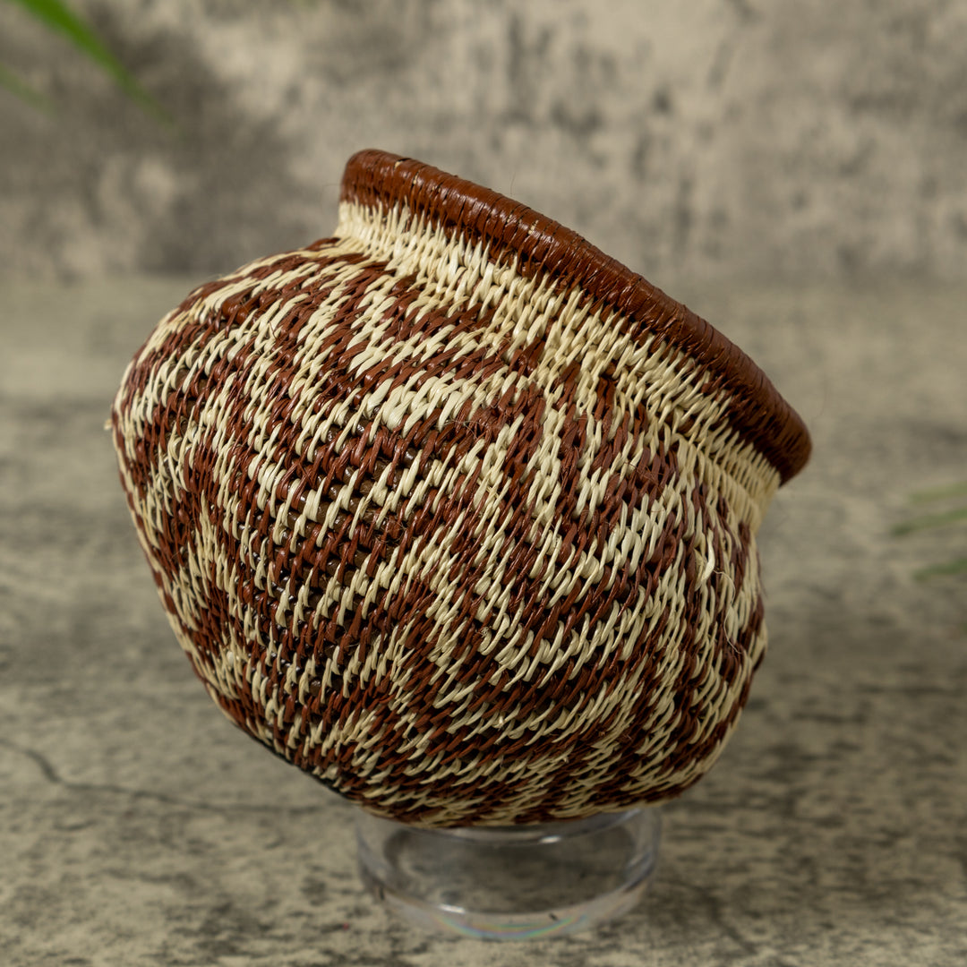 Rippling Star Rainforest Basket