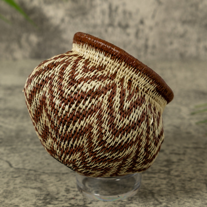 Rippling Star Rainforest Basket