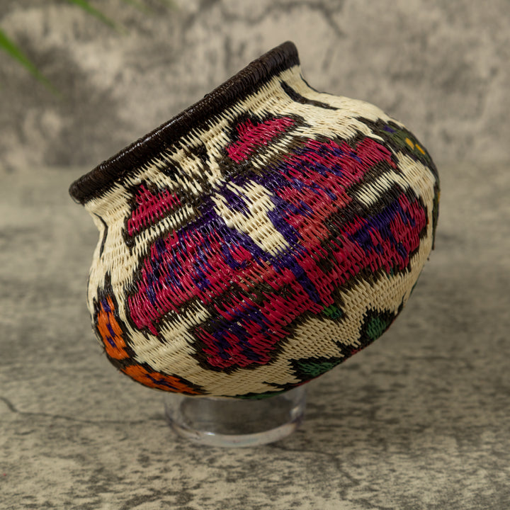 Multi-Color Butterfly Rainforest Basket