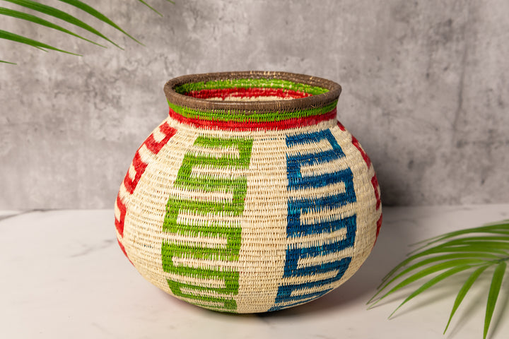 Rainbow Snakes Rainforest Basket