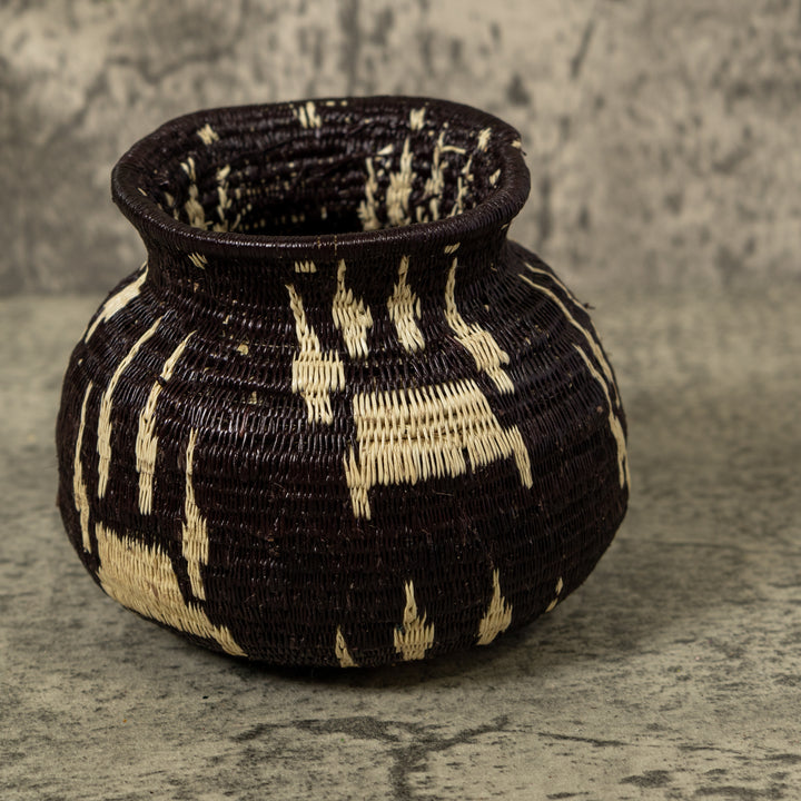 Jungle Jaguar Rainforest Basket