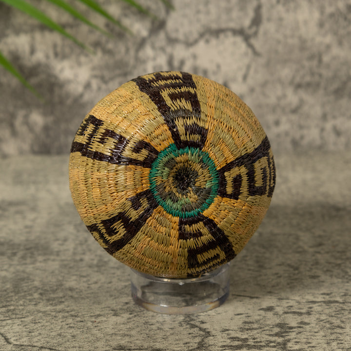 Unusual Greek Key Design Rainforest Basket