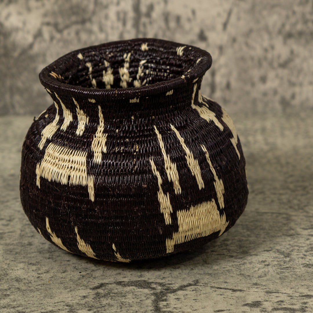 Jungle Jaguar Rainforest Basket