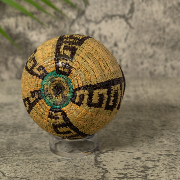 Unusual Greek Key Design Rainforest Basket