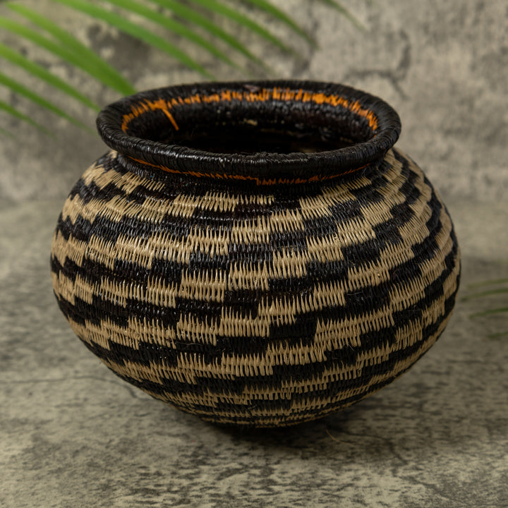 Dizzy Spiral Rainforest Basket