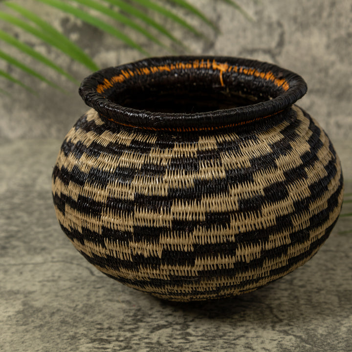 Dizzy Spiral Rainforest Basket