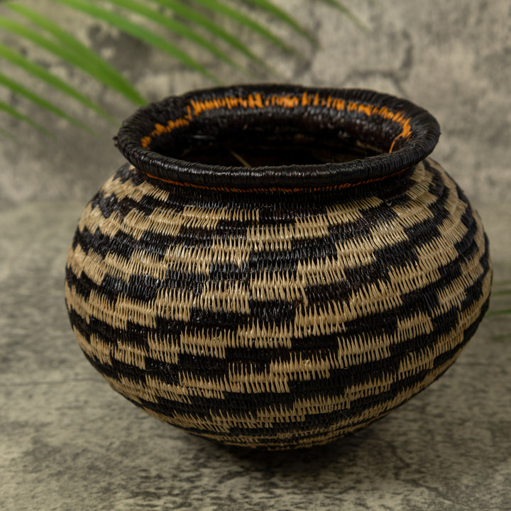 Dizzy Spiral Rainforest Basket