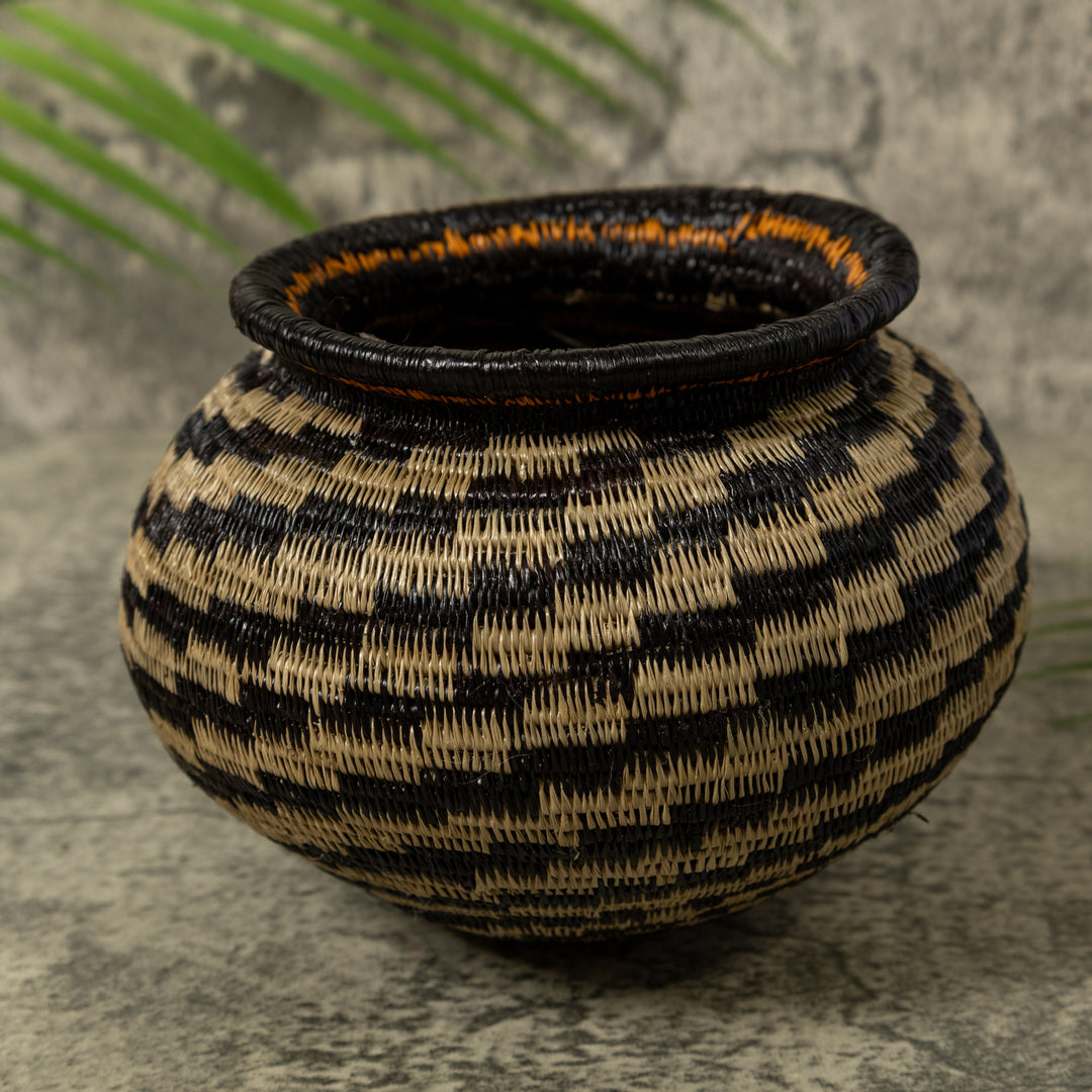 Dizzy Spiral Rainforest Basket