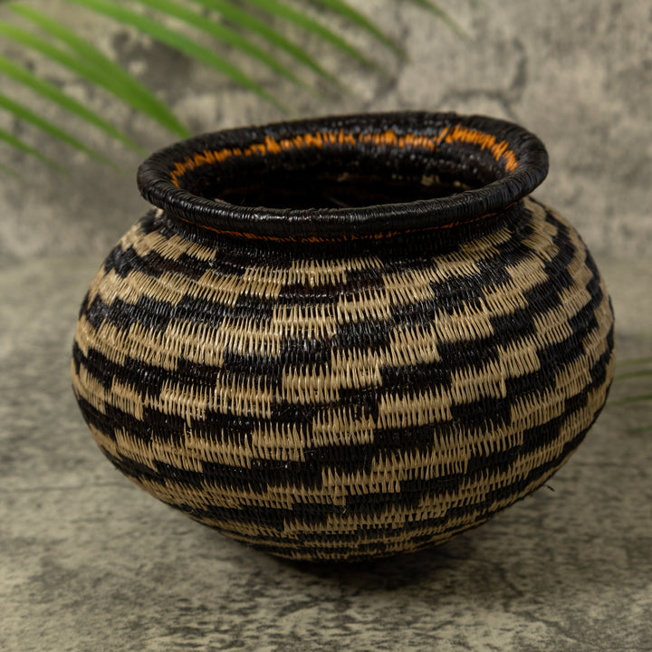 Dizzy Spiral Rainforest Basket