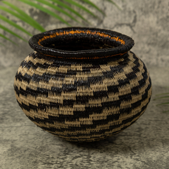 Dizzy Spiral Rainforest Basket