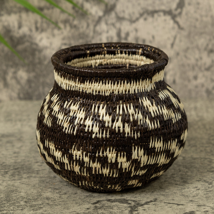 Small Black And White Rainforest Basket