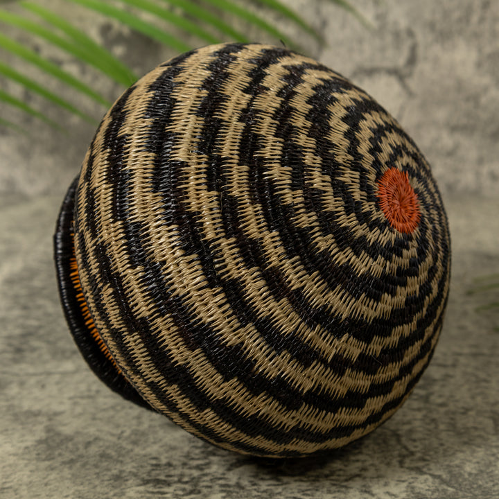 Dizzy Spiral Rainforest Basket