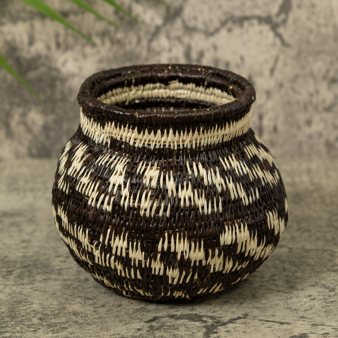 Small Black And White Rainforest Basket