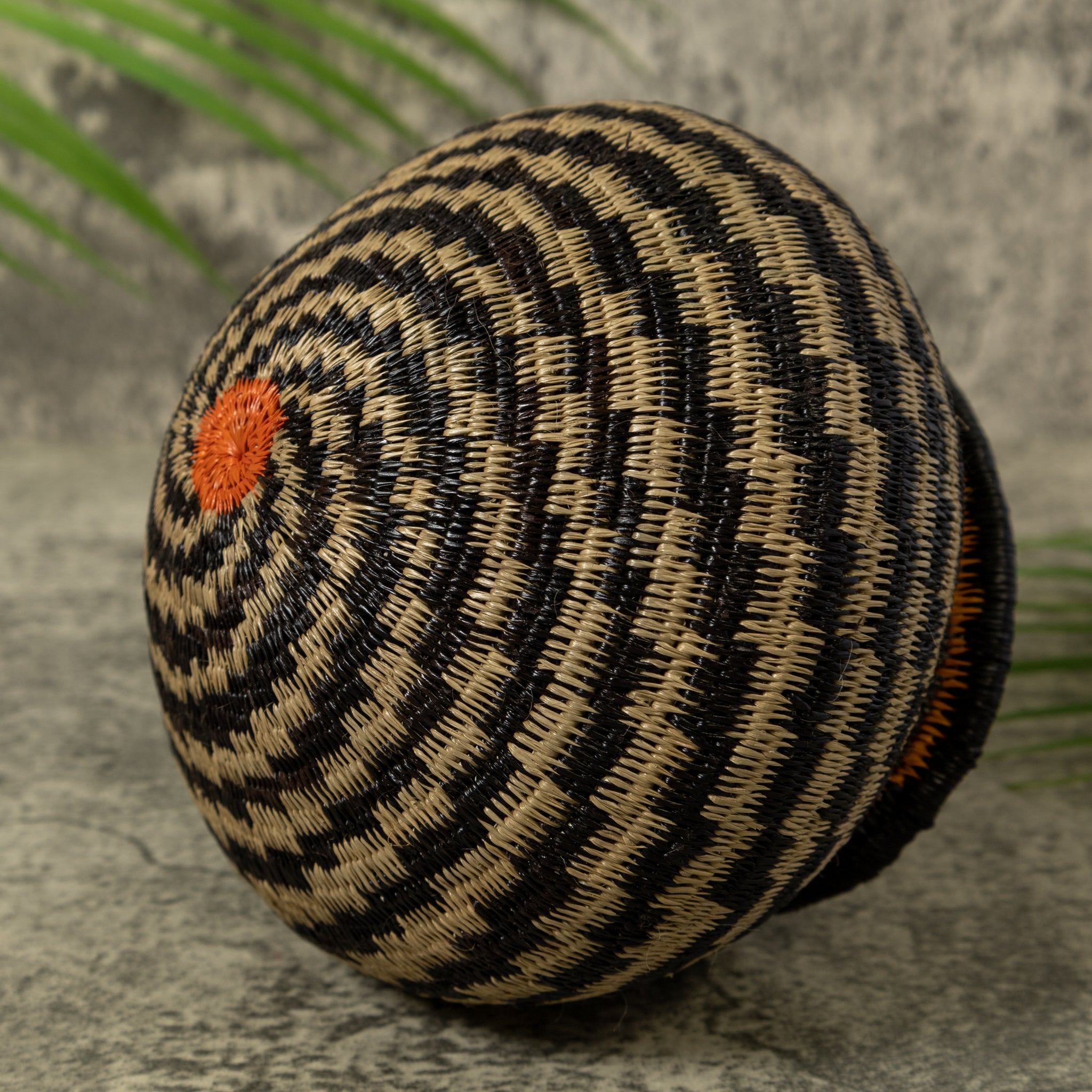 Dizzy Spiral Rainforest Basket