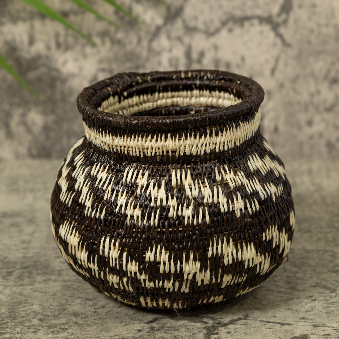 Small Black And White Rainforest Basket