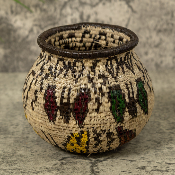 Small Butterfly Jungle Rainforest Basket