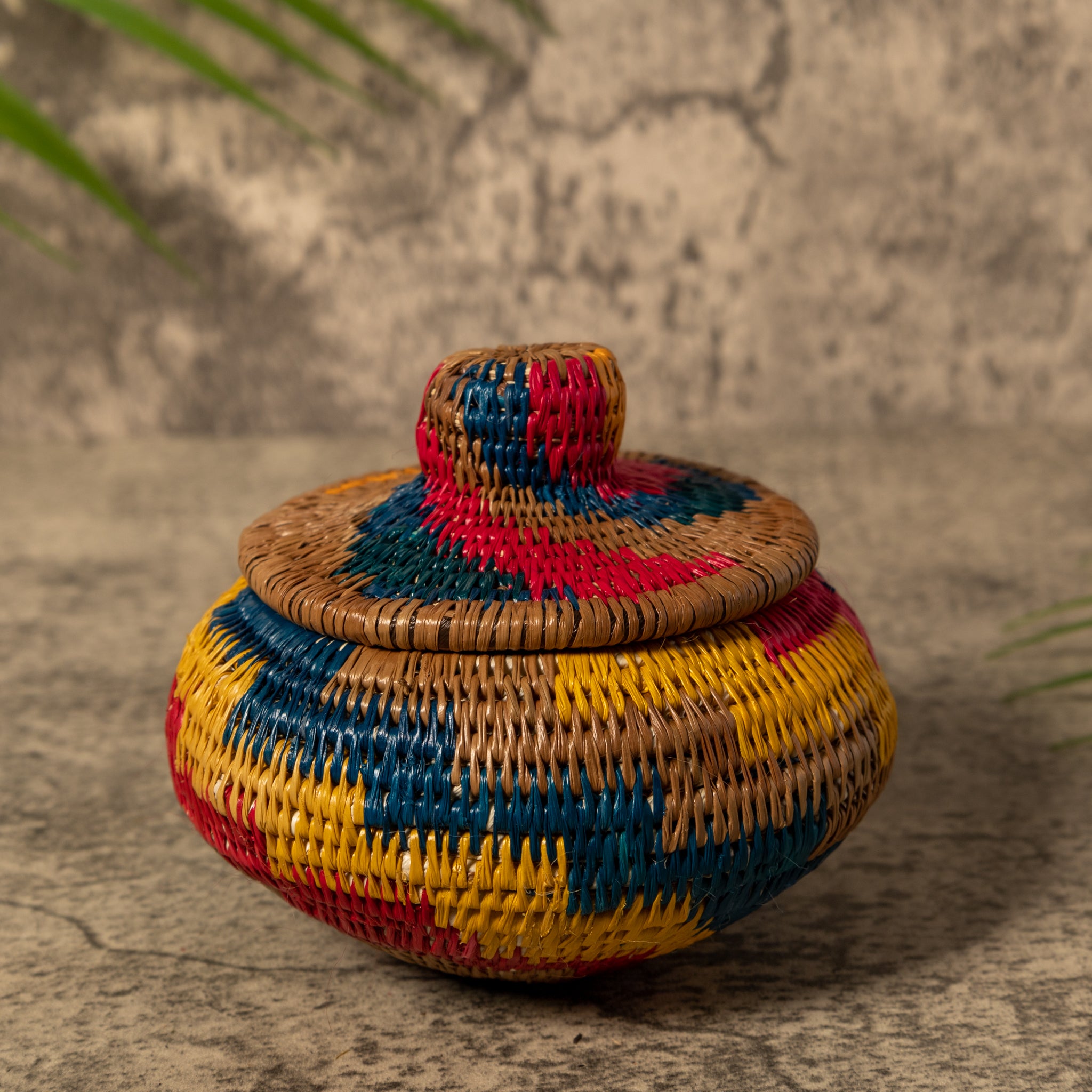 Rainbow of Colors Rainforest Basket With Top