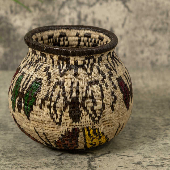 Small Butterfly Jungle Rainforest Basket