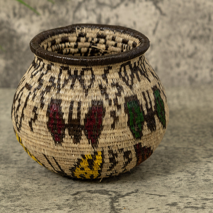 Small Butterfly Jungle Rainforest Basket