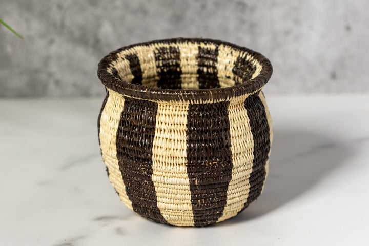 Small Black And White Stripe Rainforest Basket