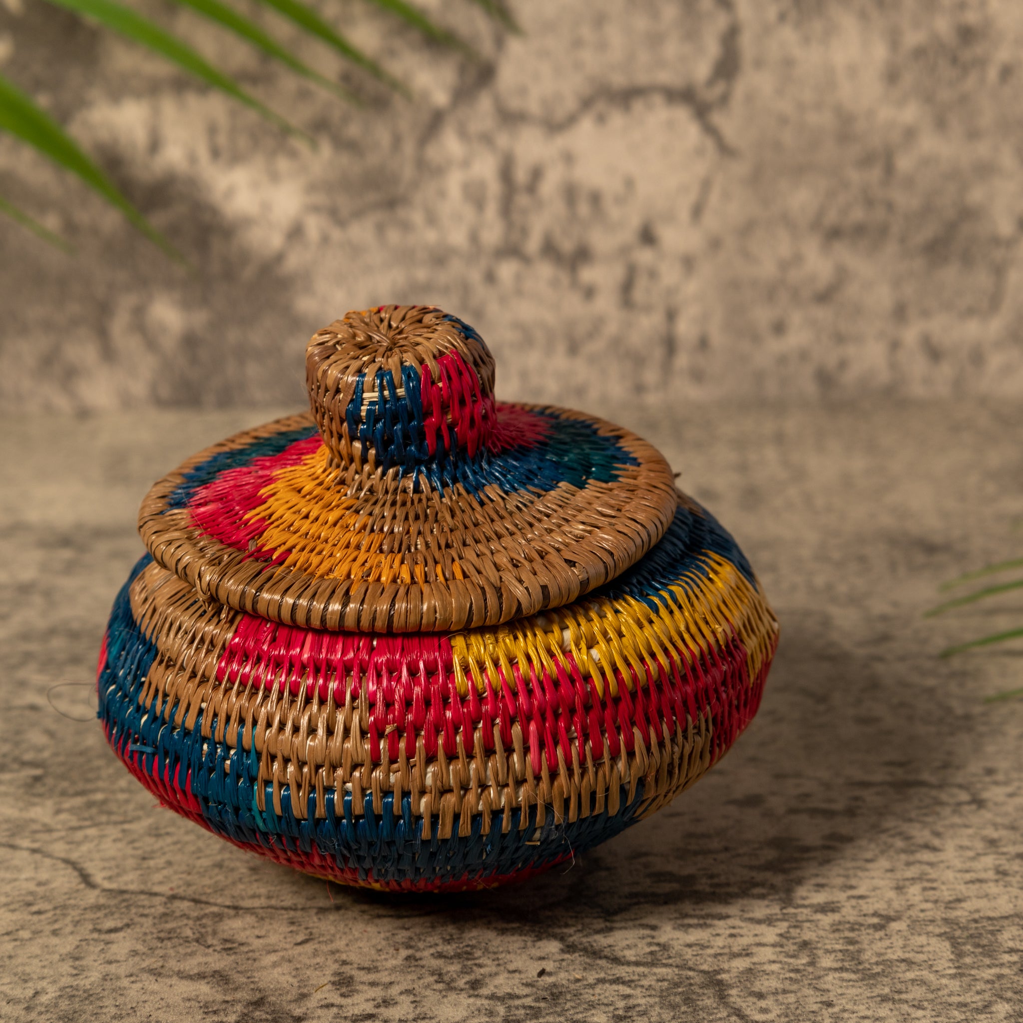 Rainbow of Colors Rainforest Basket With Top