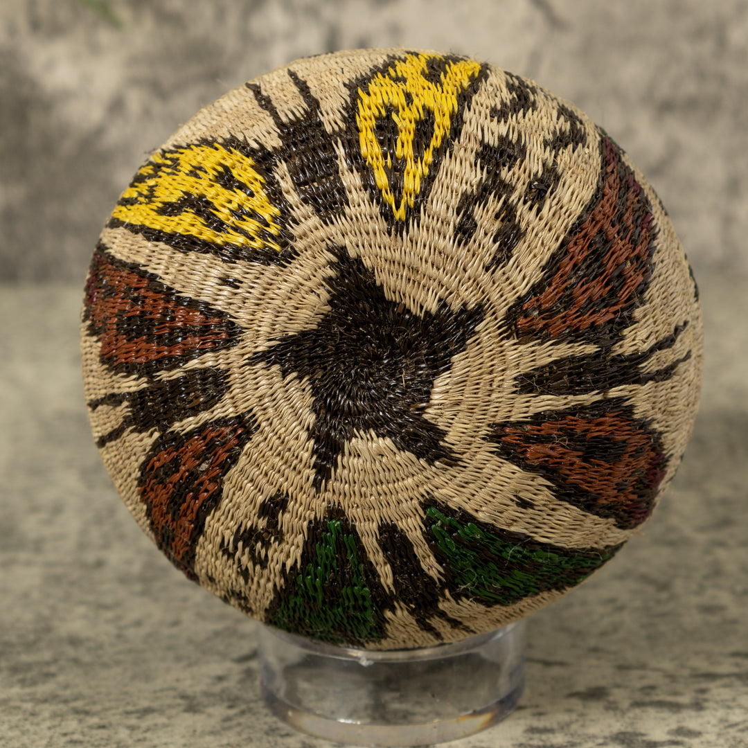 Small Butterfly Jungle Rainforest Basket