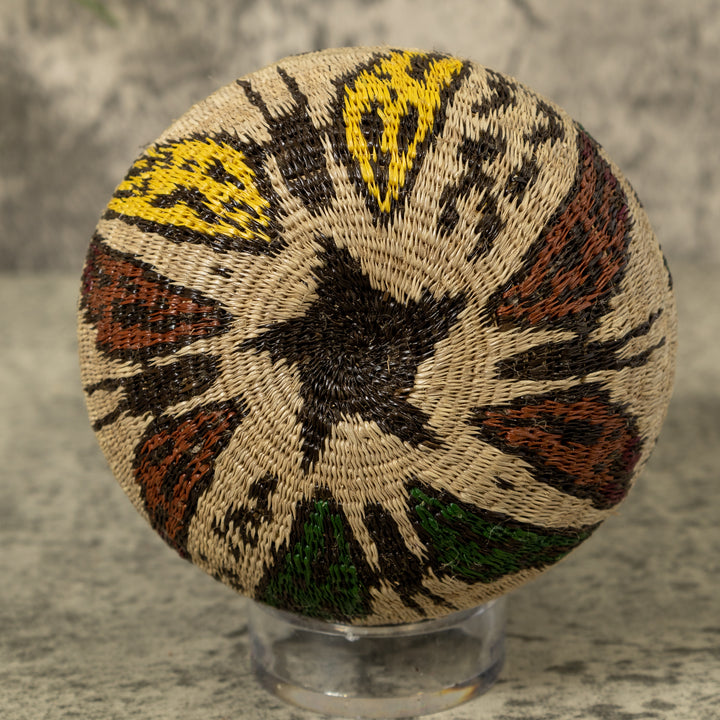 Small Butterfly Jungle Rainforest Basket