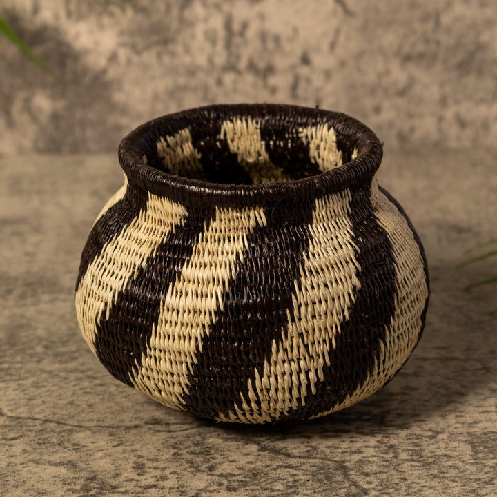 Spinner Swirl Rainforest Basket