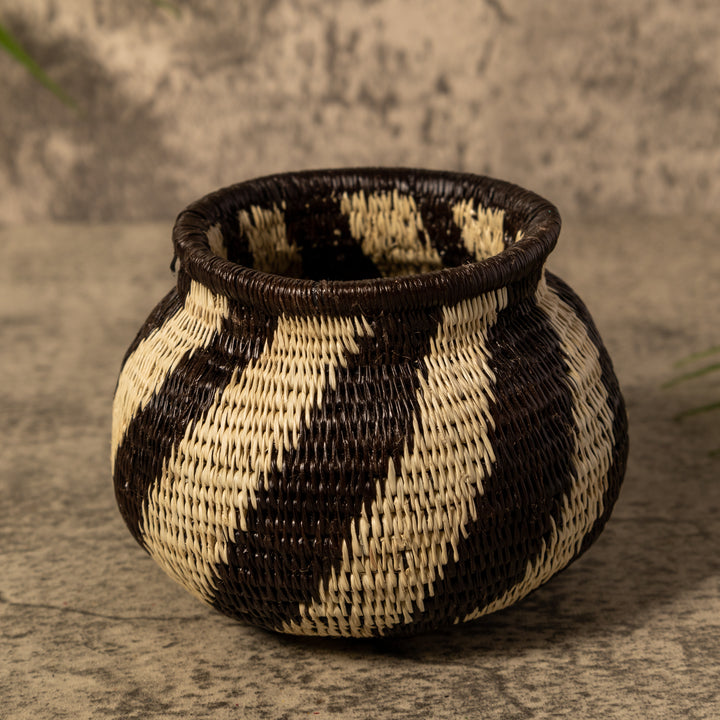 Spinner Swirl Rainforest Basket