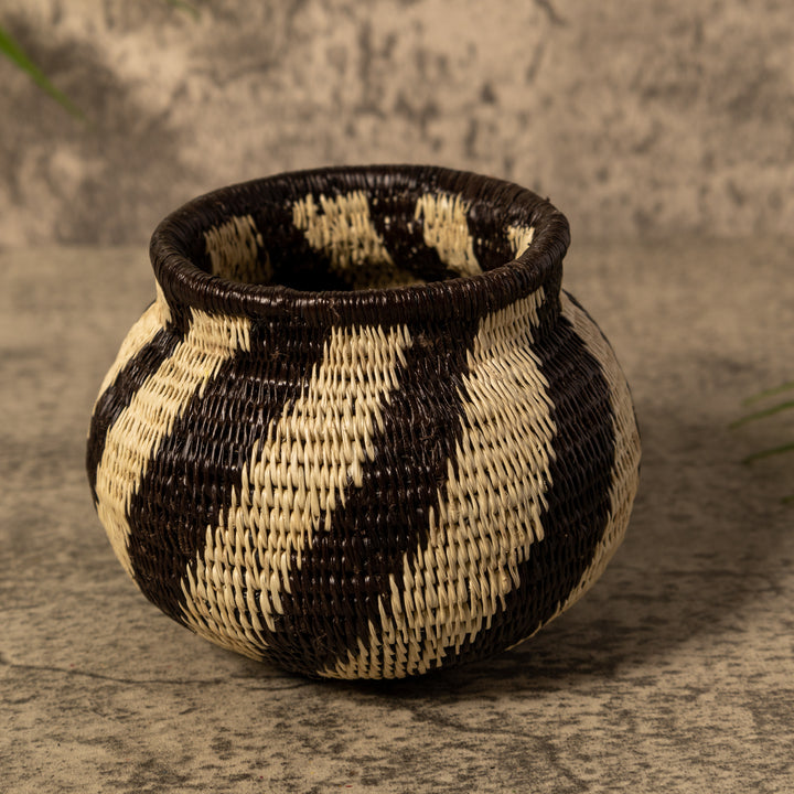 Spinner Swirl Rainforest Basket