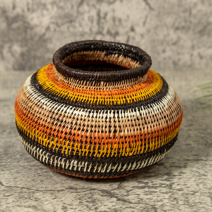 Rings of Fire Jungle Rainforest Basket