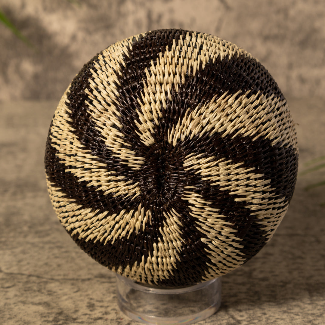 Spinner Swirl Rainforest Basket