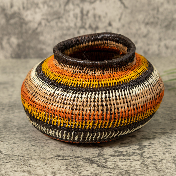Rings of Fire Jungle Rainforest Basket