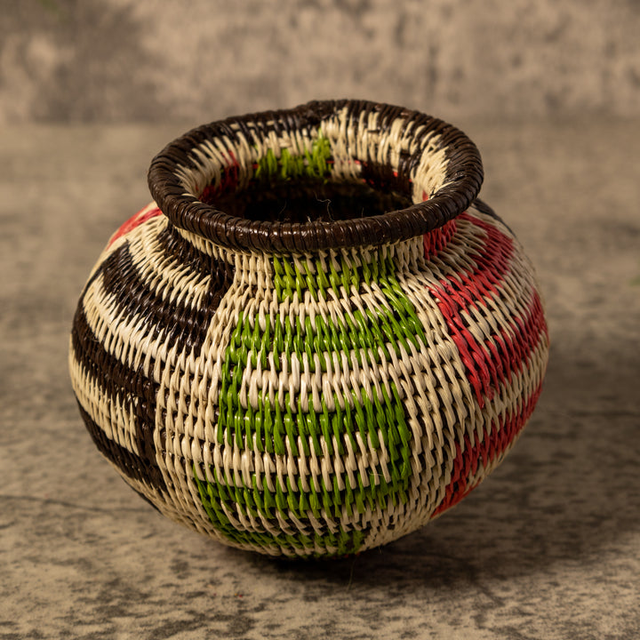 Jungle Snakes Rainforest Basket