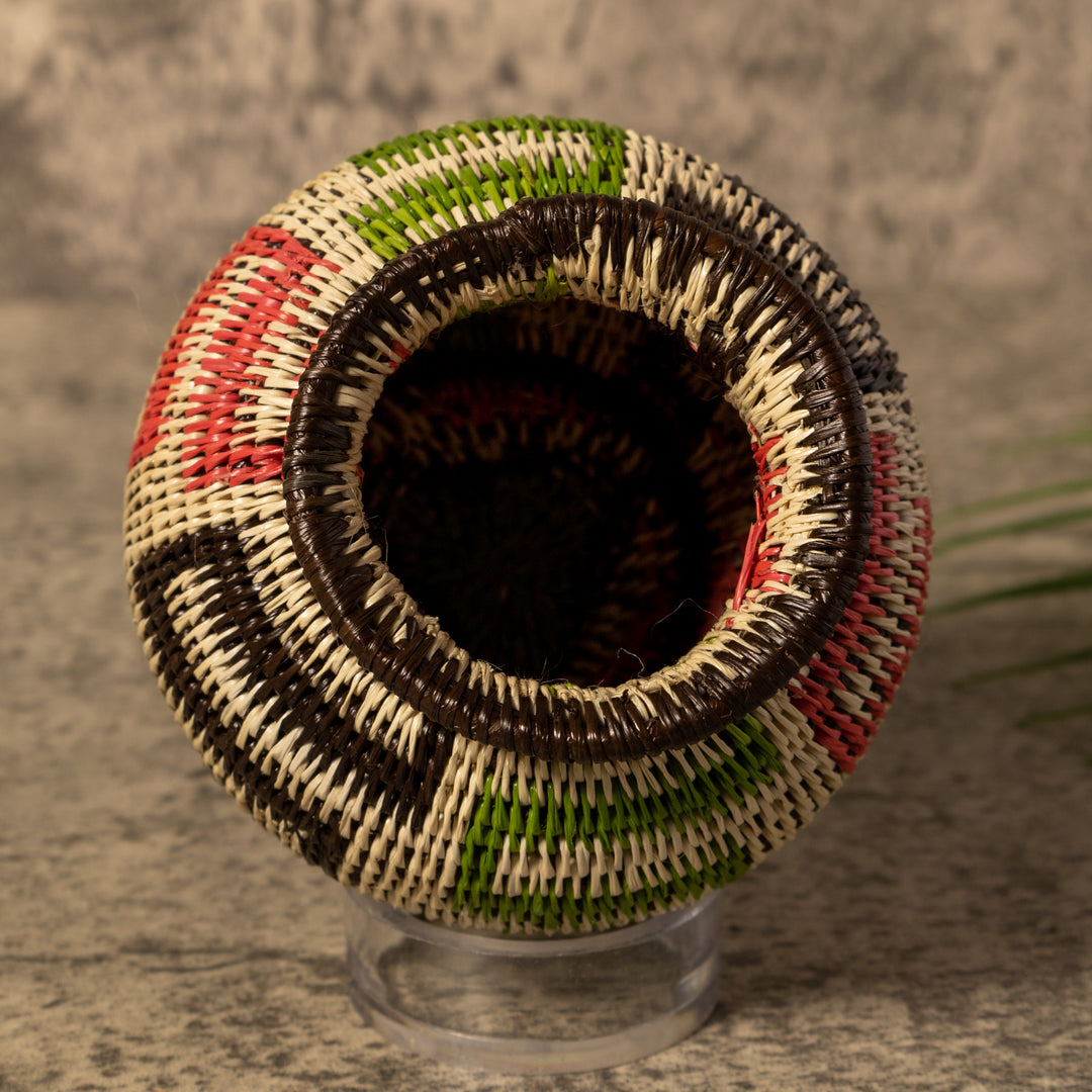 Jungle Snakes Rainforest Basket