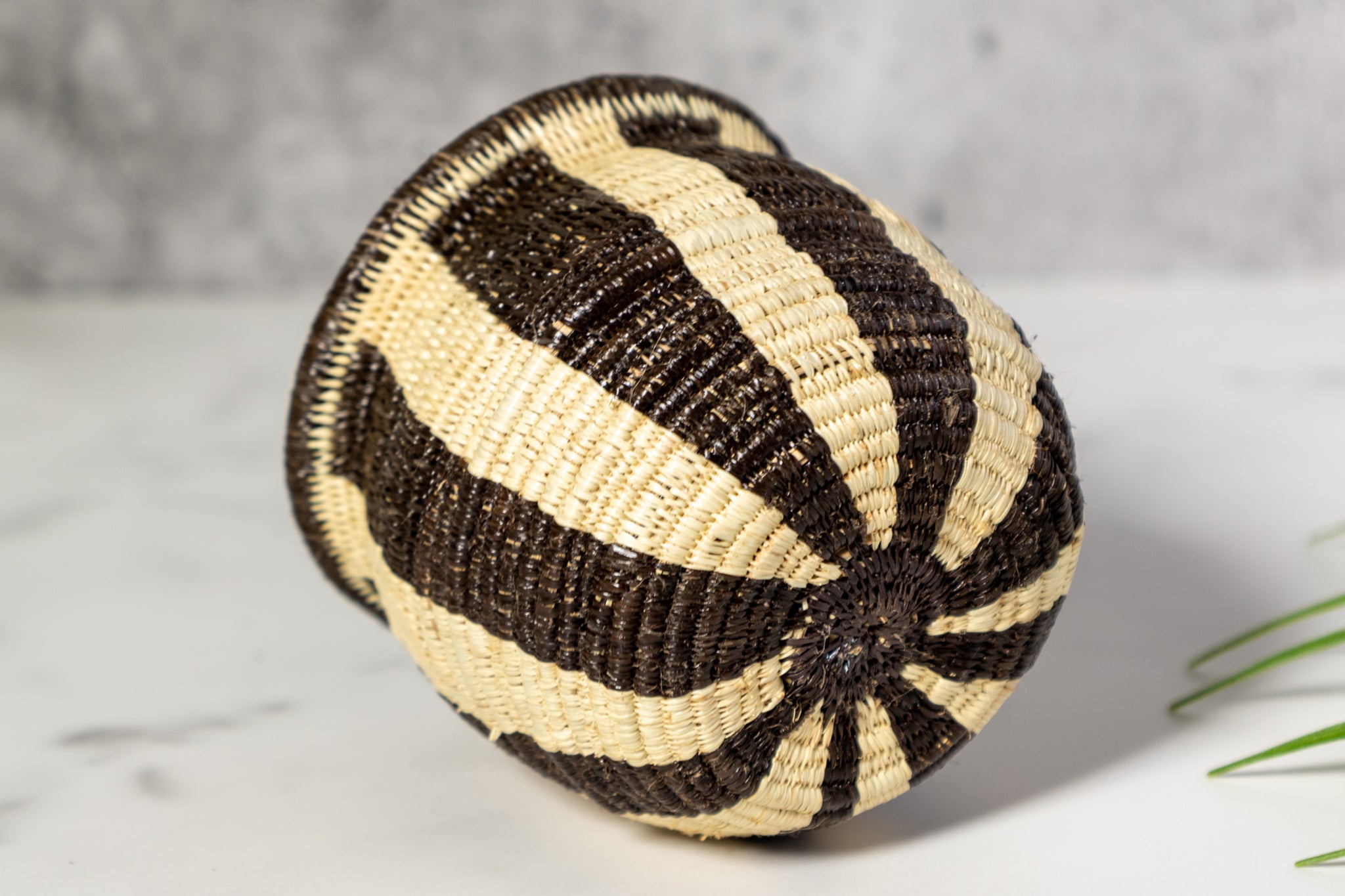 Small Black And White Stripe Rainforest Basket
