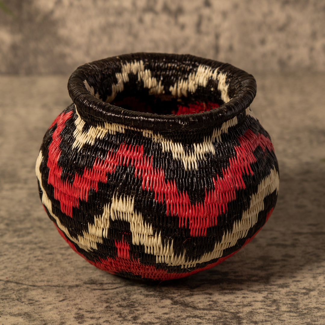 Forest Dream Waves Rainforest Basket