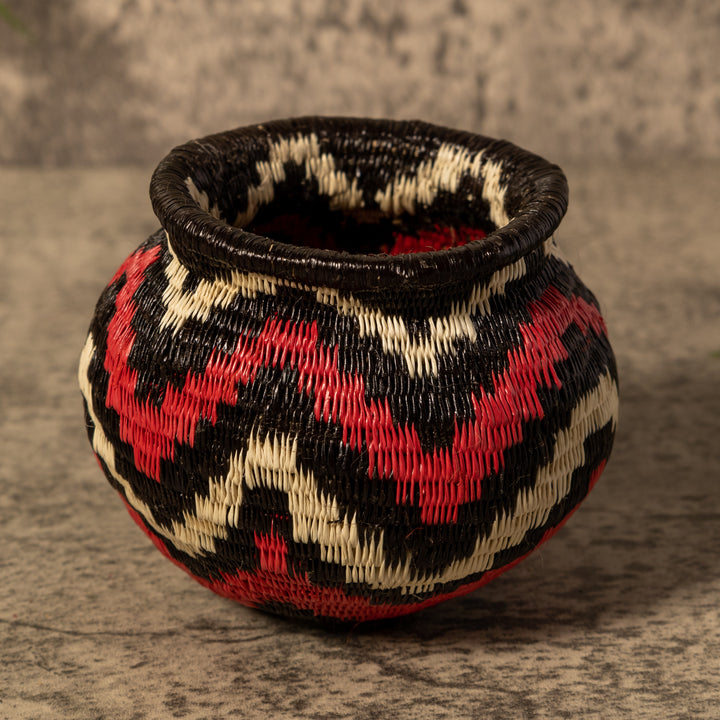 Forest Dream Waves Rainforest Basket