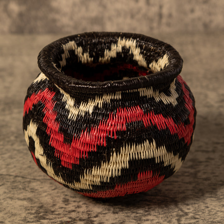 Forest Dream Waves Rainforest Basket