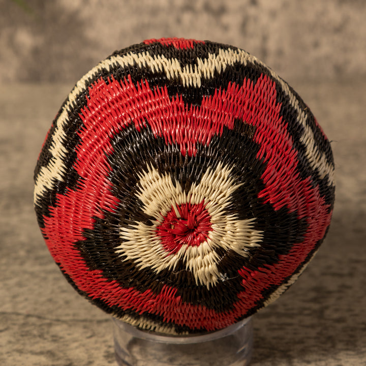 Forest Dream Waves Rainforest Basket