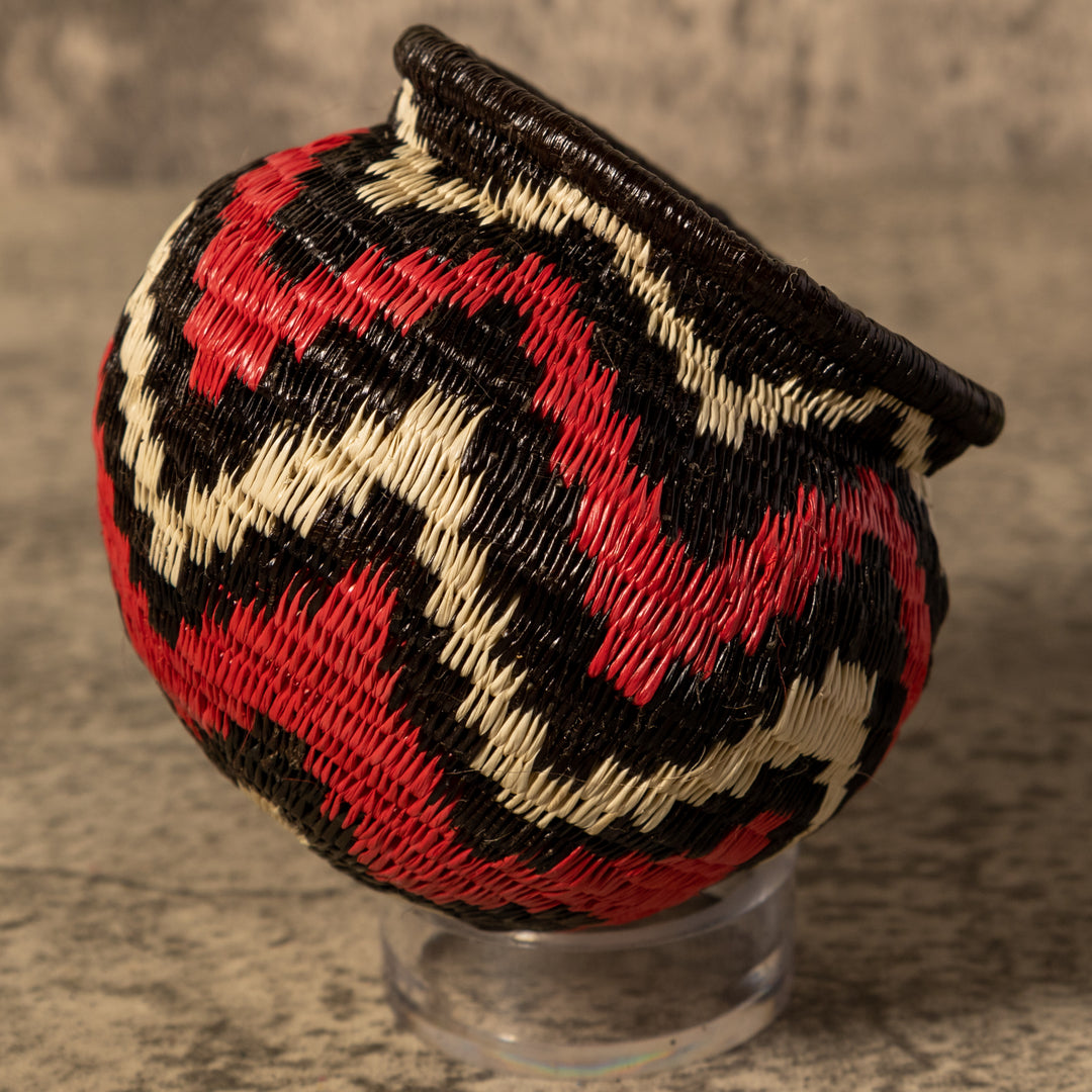 Forest Dream Waves Rainforest Basket