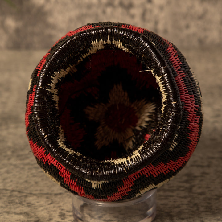 Forest Dream Waves Rainforest Basket