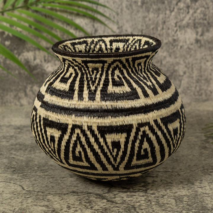 Black And White Greek Key Jungle Rainforest Basket