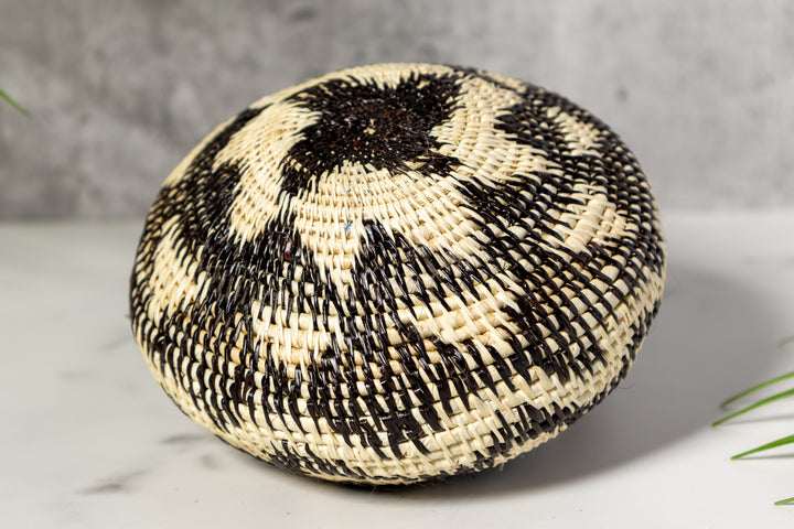 Small Black And White Rainforest Basket With Top