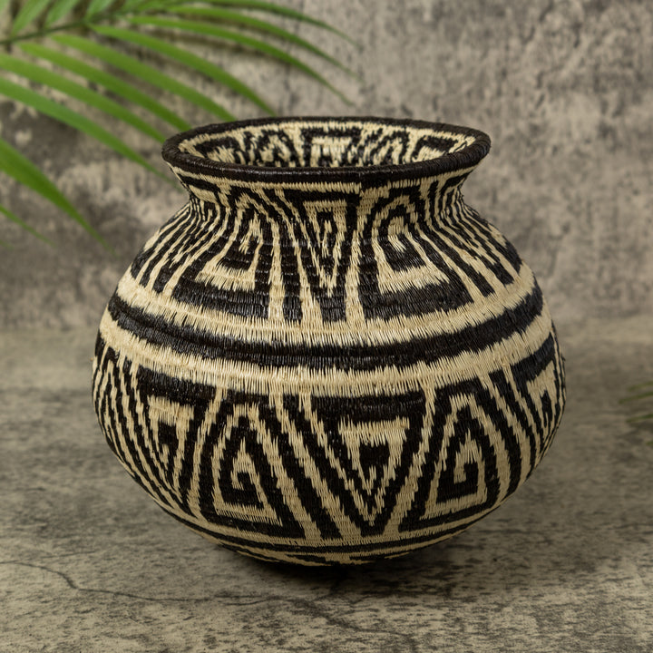 Black And White Greek Key Jungle Rainforest Basket