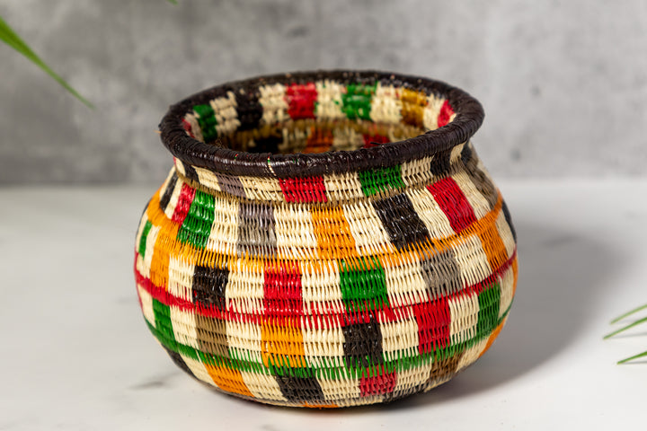 Rainbow Colors Rainforest Basket